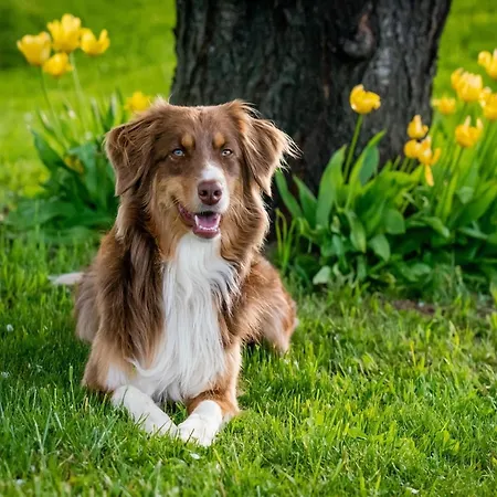 Charming In Sint Maartenszee Дом отдыха