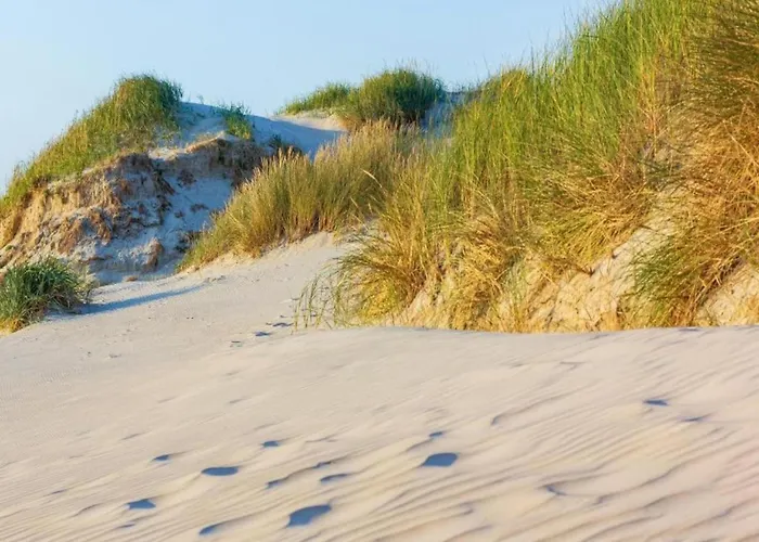 Charming In Sint Maartenszee Sint Maartensvlotbrug