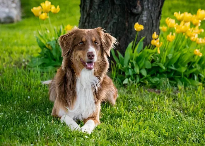 Charming In Sint Maartenszee Feriehus