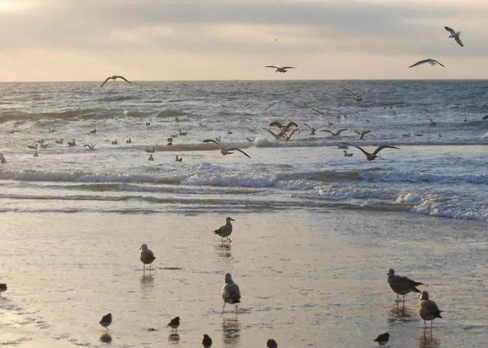 Charming In Sint Maartenszee * Sint Maartensvlotbrug