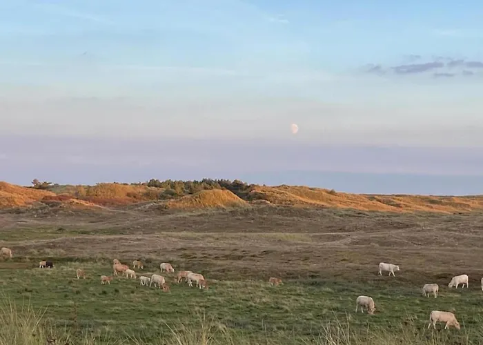 Feriehus Charming In Sint Maartenszee Sint Maartensvlotbrug