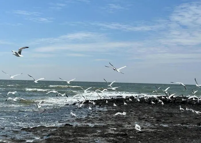 Charming In Sint Maartenszee