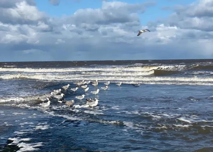 Feriehus Charming In Sint Maartenszee Sint Maartensvlotbrug