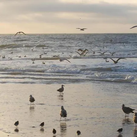 Charming In Sint Maartenszee * Sint Maartensvlotbrug