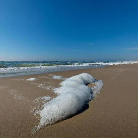 Charming In Sint Maartenszee Hébergement de vacances Sint Maartensvlotbrug