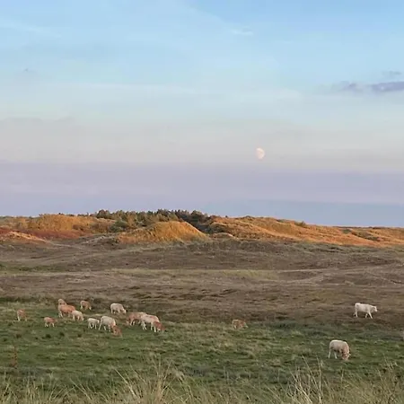 別荘 Charming In Sint Maartenszee Sint Maartensvlotbrug
