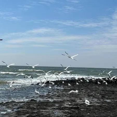 Charming In Sint Maartenszee