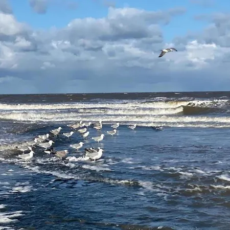 別荘 Charming In Sint Maartenszee Sint Maartensvlotbrug